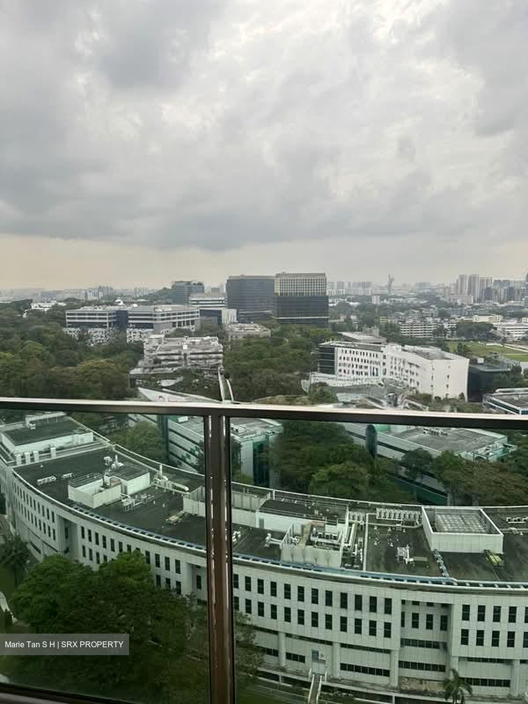 Normanton Park (D5), Apartment #554545971